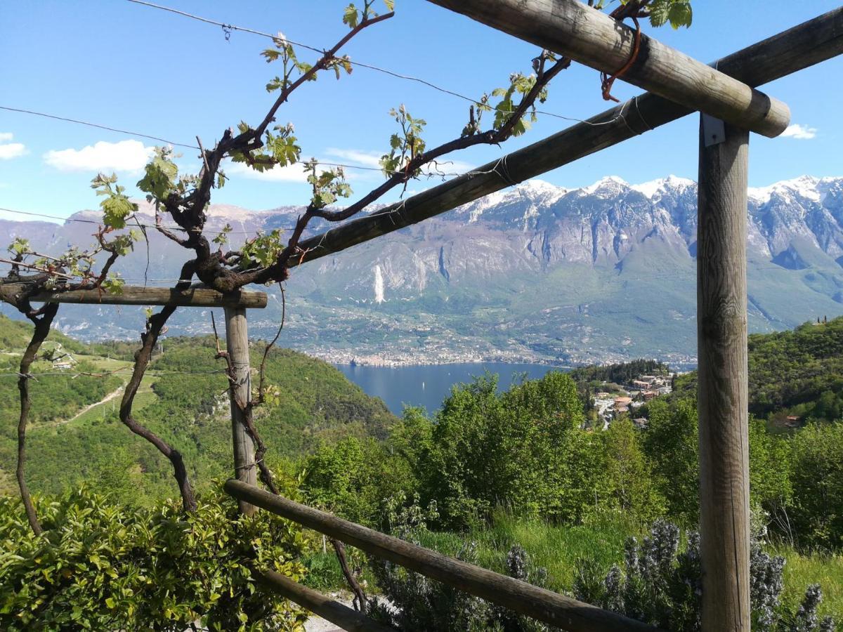 Agriturismo La Zangola Tremosine Luaran gambar