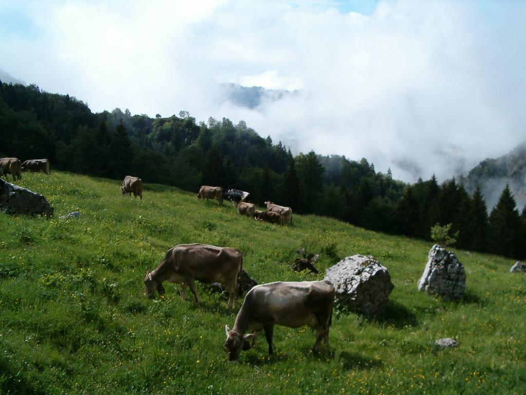 Agriturismo La Zangola Tremosine Luaran gambar